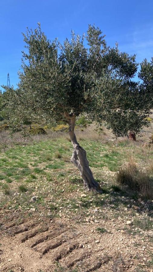 فندق Le Relais De Tamaroque Portel-des-Corbieres المظهر الخارجي الصورة